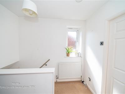 Picture 29